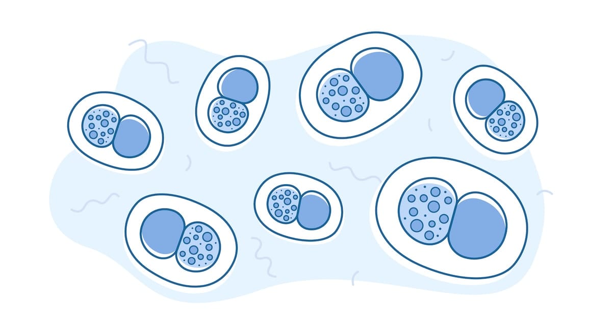 Bacterial STDs Priority STD Testing