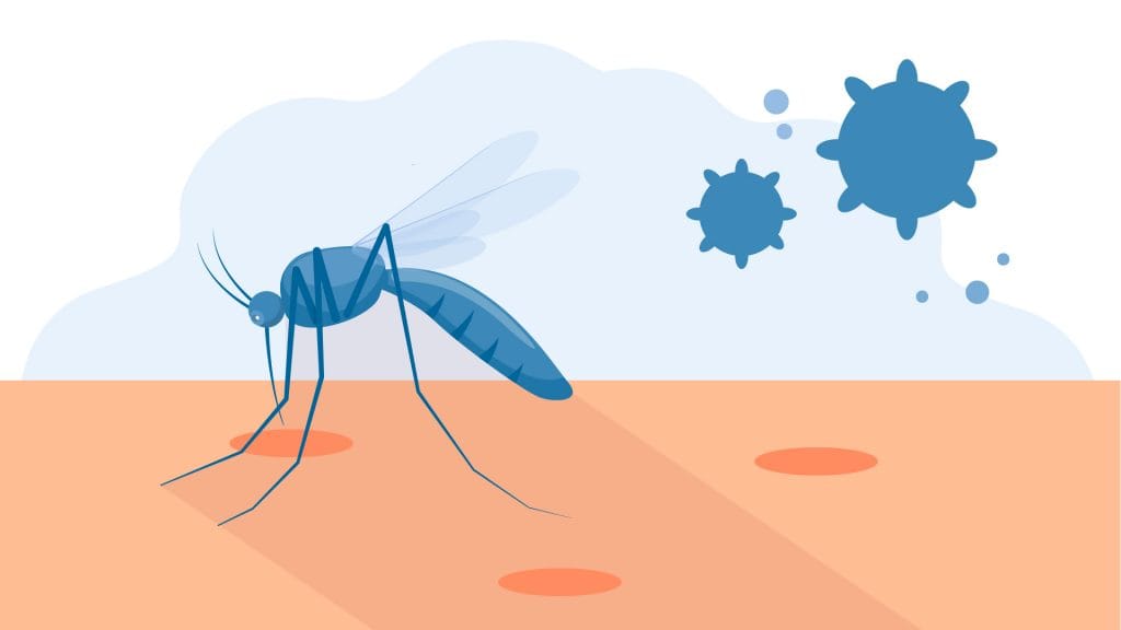 Can Mosquitoes Transmit HIV?