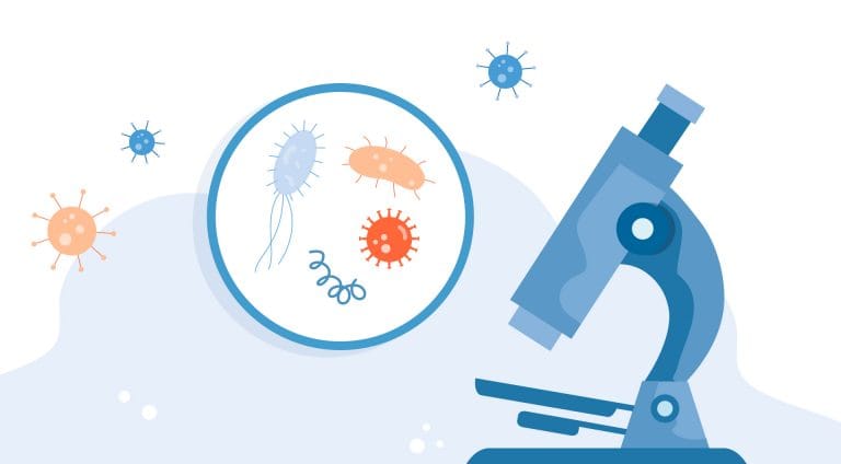 Close up of STD bacteria and viruses next to an illustration of a microscope