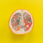 The concept of vaginal yeast infection